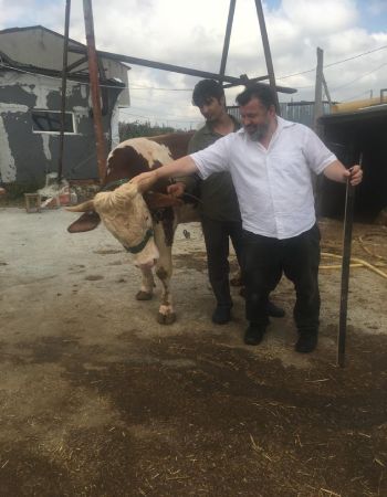 Helal Et - hizmetlerimiz - 01